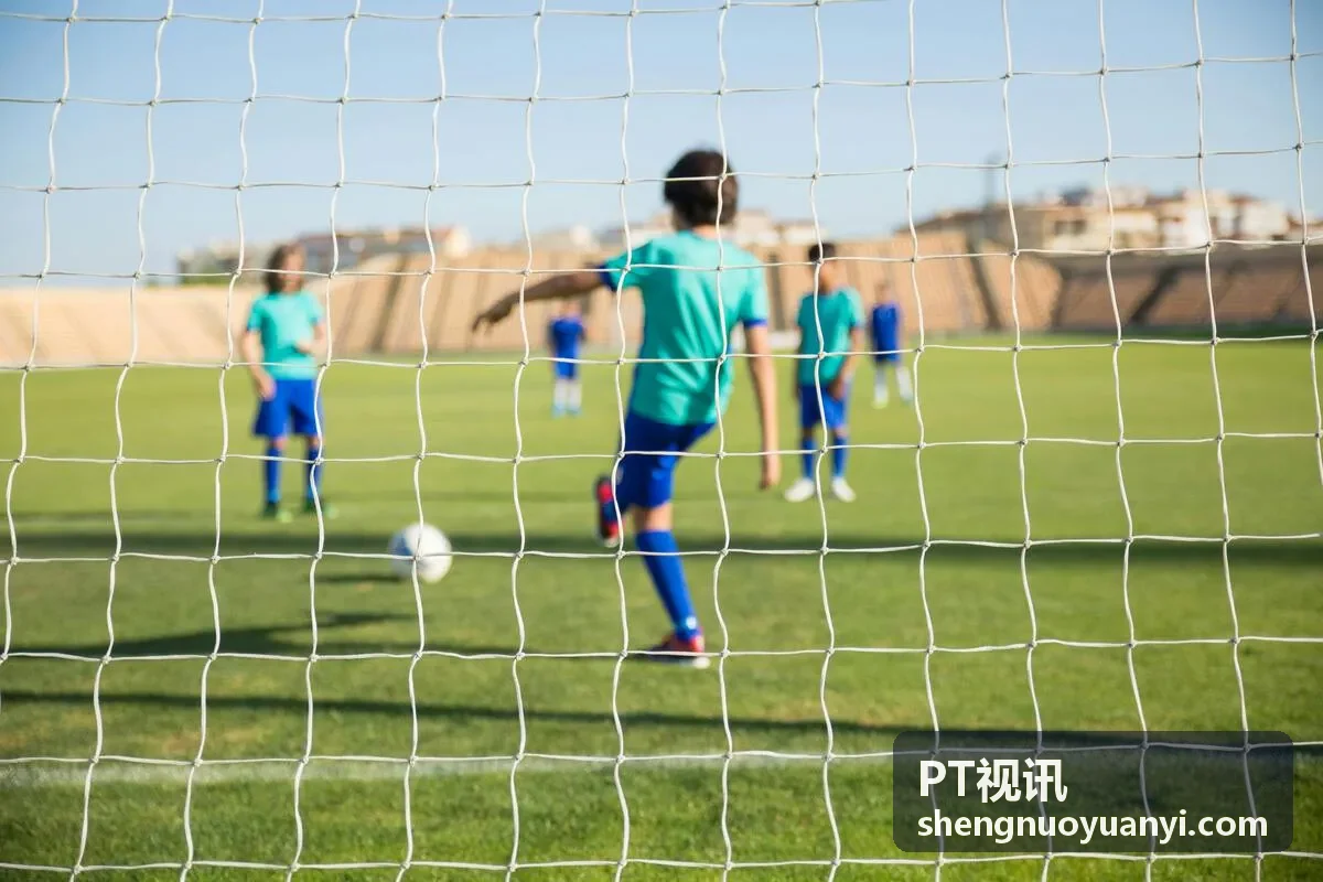 PT视讯实时控制面板